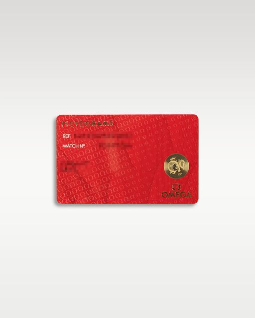 Omega Aqua Terra 150m Gents 220.12.41.21.03.005 Image 5